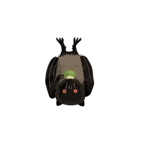 anim